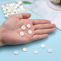 Natural Freshwater Shell Pendants&nbsp;SSHEL-CJ0001-07