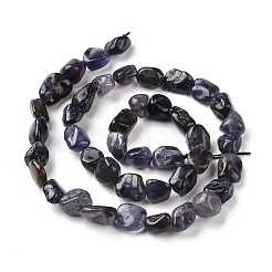 Natural Iolite Beads Strands&nbsp;G-A208-09