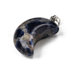 Natural Sodalite Pendants&nbsp;G-F820-02D