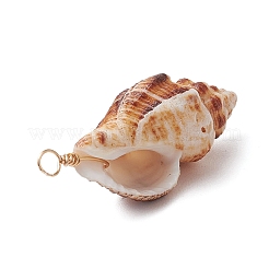 Natural Spiral Shell Pendants&nbsp;PALLOY-JF02950