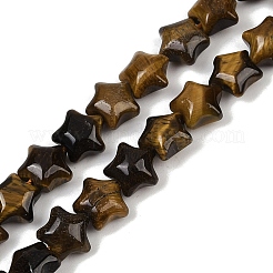 Natural Tiger Eye Beads Strands&nbsp;G-Z080-A16-8mm