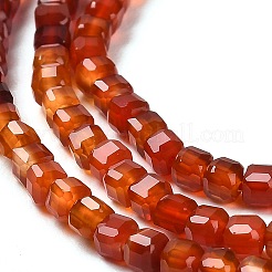 Natural Carnelian Beads Strands&nbsp;G-Q002-C01-02