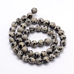 Natural Dalmatian Jasper Round Bead Strands&nbsp;X-G-J303-19-6mm