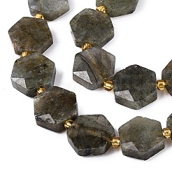 Natural Labradorite Beads Strands&nbsp;G-N368-01A-07
