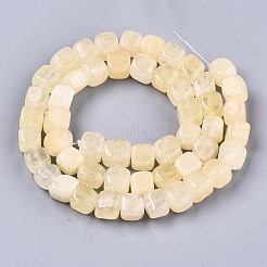 Natural Dolomite Beads Strands&nbsp;G-T131-56H