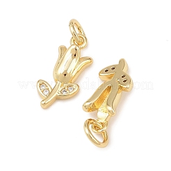 Brass Micro Pave Clear Cubic Zirconia Charms&nbsp;KK-G544-06G-01