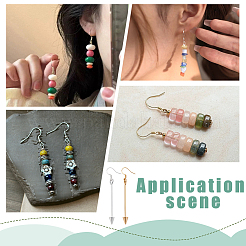 4 Pairs 2 Colors Alloy Dangle Earrings&nbsp;EJEW-PH0002-10