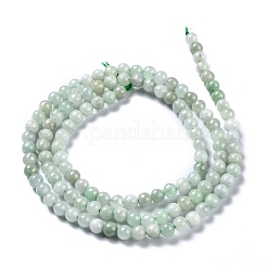 Natural Jadeite Beads Strands&nbsp;G-H266-27