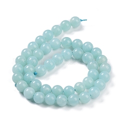 Grade A Natural Amazonite Beads Strands&nbsp;G-C046-01B