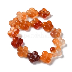 Natural Carnelian Beads Strands&nbsp;G-M418-D02-01