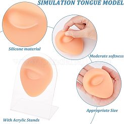 Soft Silicone Eye Flexible Model Body Part Displays with Acrylic Stands&nbsp;ODIS-WH0002-24