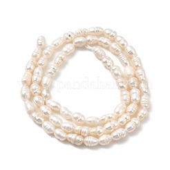 Natural Cultured Freshwater Pearl Beads Strands&nbsp;PEAR-I007-01M-01A