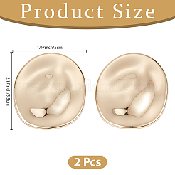 2Pcs Alloy Brooches&nbsp;JEWB-CP0001-58G