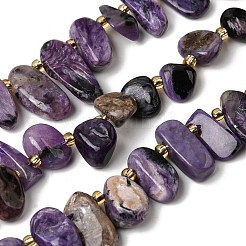 Natural Charoite Beads Strands&nbsp;G-P604-A29-01
