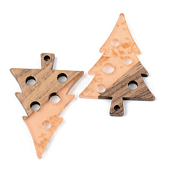 Transparent Resin & Walnut Wood Pendants&nbsp;RESI-S389-030A-B04