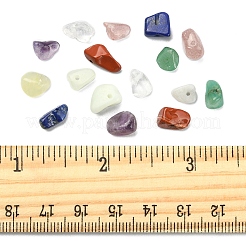 70G 7 Styles Natural Mixed Gemstone Chip Beads&nbsp;G-FS0002-45