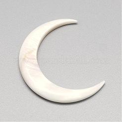Natural Freshwater Shell Beads&nbsp;SHEL-S252-01