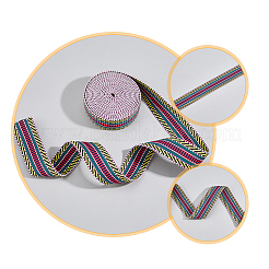 2Pcs 2 Colors Flat Ethnic Style Polyester Stripe Ribbon&nbsp;SRIB-DC0001-01