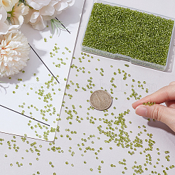 100G Glass Seed Beads&nbsp;SEED-SP0001-11C