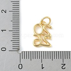 Brass Pendants&nbsp;KK-L245-24G