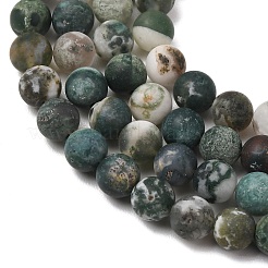 Natural Tree Agate Beads Strands&nbsp;X-G-T106-038