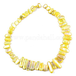 Natural Freshwater Shell Beads Strands&nbsp;SHEL-N026-123A