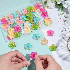 48Pcs 6 Colors Transparent Resin Cabochons&nbsp;RESI-SC0006-62