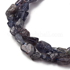 Natural Iolite/Cordierite/Dichroite Beads Strands&nbsp;G-I389-A34-01B