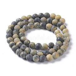 Natural Yellow Turquoise(Jasper) Beads Strands&nbsp;X-G-H245-02B
