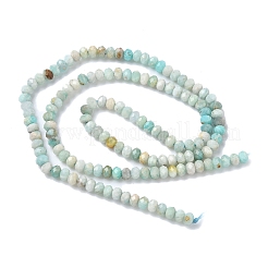 Natural Flower Amazonite Beads Strands&nbsp;G-L651-B02-4x3mm