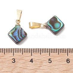 Abalone Shell/Paua Shell Pendants&nbsp;PALLOY-JF05264