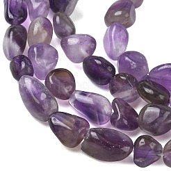 Natural Amethyst Beads Strands&nbsp;G-C286-A30