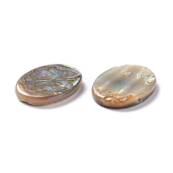 Sea Shell Penndants&nbsp;SSHEL-C008-15