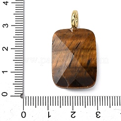 Natural Tiger Eye Faceted Pendants&nbsp;G-B186-01G-08