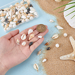 60Pcs Natural Mixed Shell Pendants&nbsp;FIND-PH0029-33