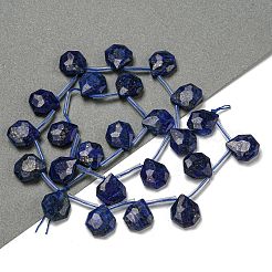 Natural Lapis Lazuli Beads Strands&nbsp;G-P544-C10-01