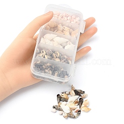 5 Styles Mixed Natural Shell Beads&nbsp;SSHEL-YW0001-04