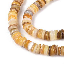 Natural Freshwater Yellow Shell Beads Strands&nbsp;SHEL-T020-30