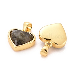 Natural Labradorite Charms&nbsp;G-E538-02G-02