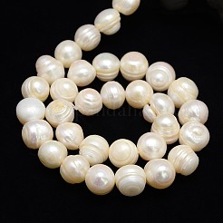 Natural Cultured Freshwater Pearl Beads Strands&nbsp;PEAR-L001-F-14-01