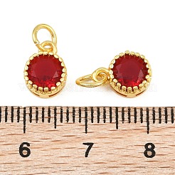Brass Pave Cubic Zirconia Charms&nbsp;CU-CBA3D67-02G-08