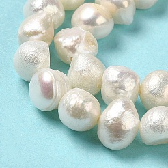 Natural Cultured Freshwater Pearl Beads Strands&nbsp;PEAR-E017-18