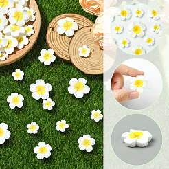 3 Styles Plastic Cabochons&nbsp;FIND-SC0019-49
