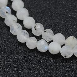 Natural Rainbow Moonstone Beads Strands&nbsp;G-E411-08-4mm