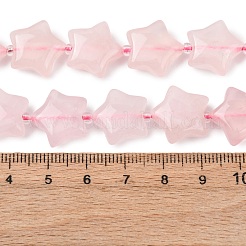 Natural Rose Quartz Beads Strands&nbsp;G-K359-E18