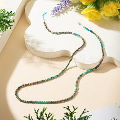 1 Strand Natural Turquoise Beads Strands&nbsp;G-TA0003-46