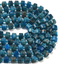 Natural Apatite Beads Strands&nbsp;G-G453-G08-7x12mm
