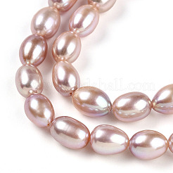 Natural Cultured Freshwater Pearl Beads Strands&nbsp;PEAR-N012-AA-03