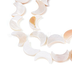 Natural Freshwater Shell Beads Strands&nbsp;SHEL-Q024-015B-01