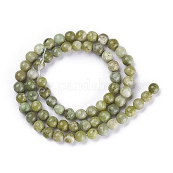 Natural Idocrase Beads Strands&nbsp;G-N165-7-2